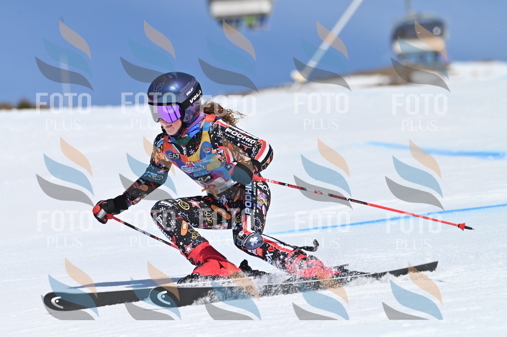 BGV_8968 | holidayphoto