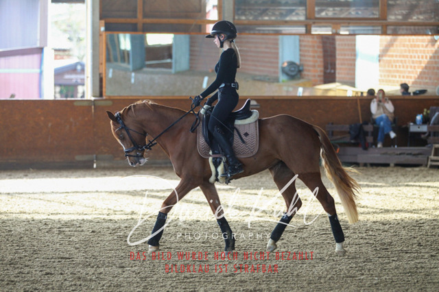 DKP42596 | Turniersportfotografie; Pferdefotografie; Dressurfotografie