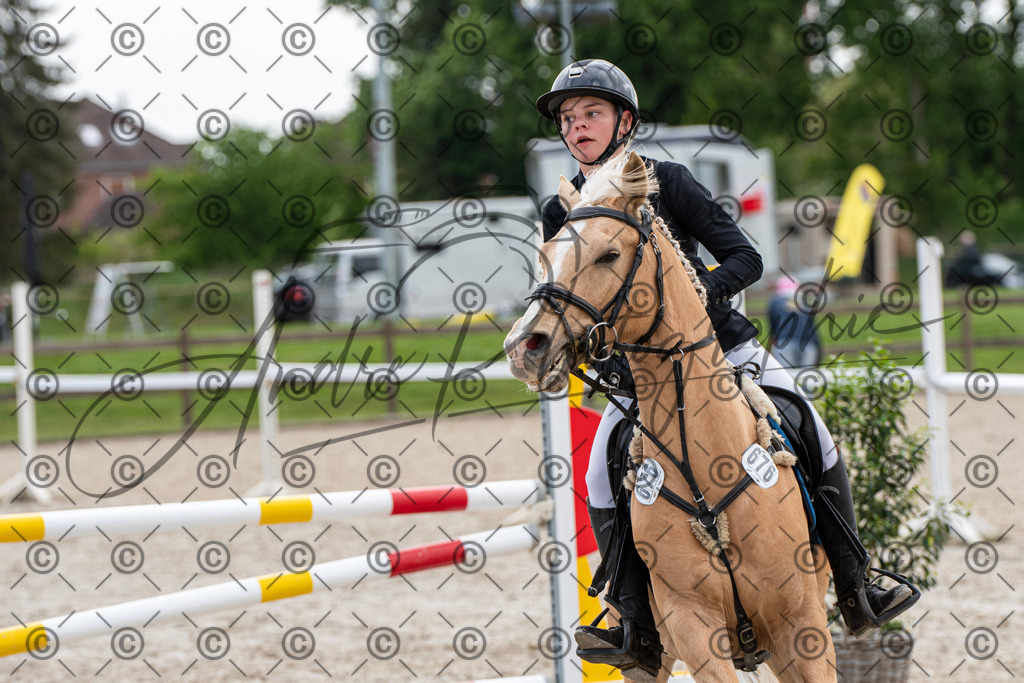 KPT_7922 | andre_photographic