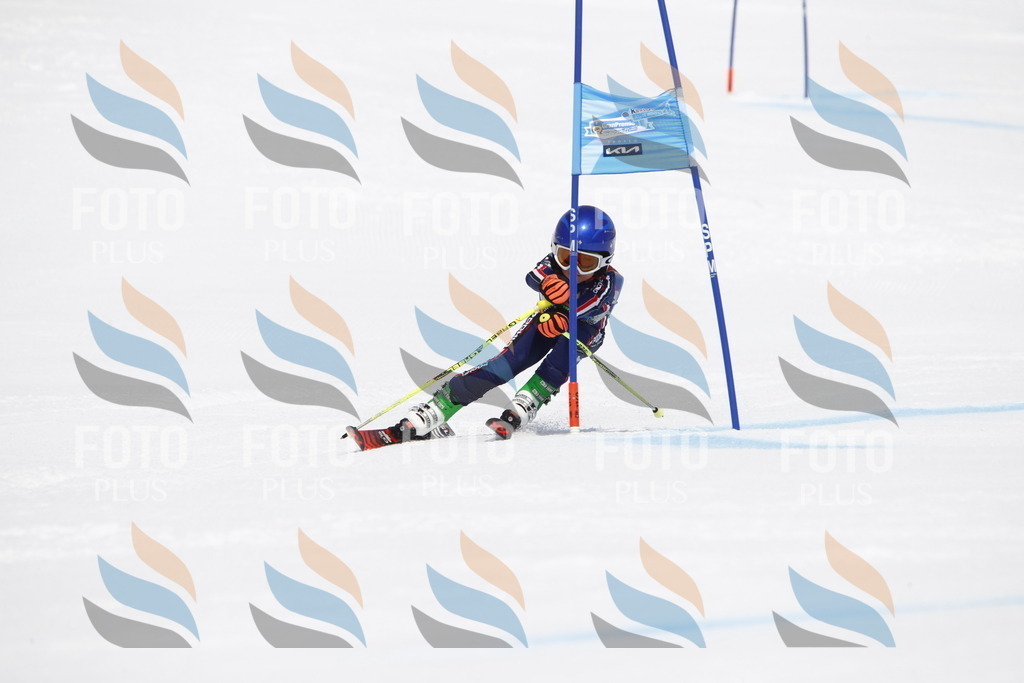 _U3G6693 | holidayphoto