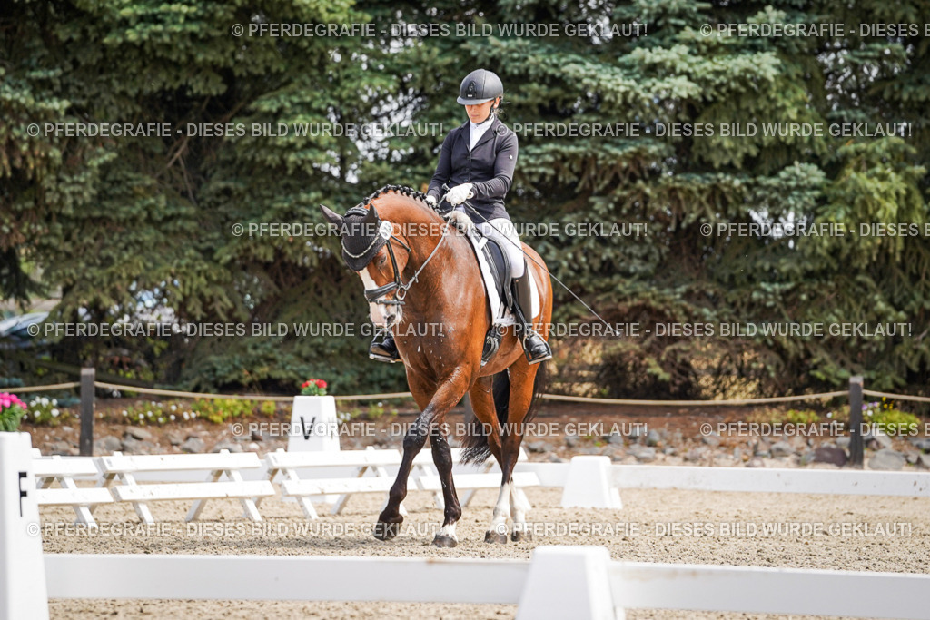 DSC00360 | Pferdegrafie