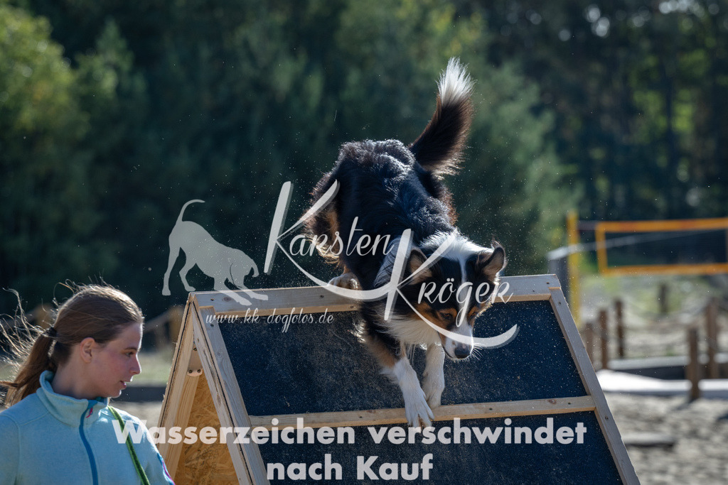 1128_ZZ91225 | kk-dogfotos