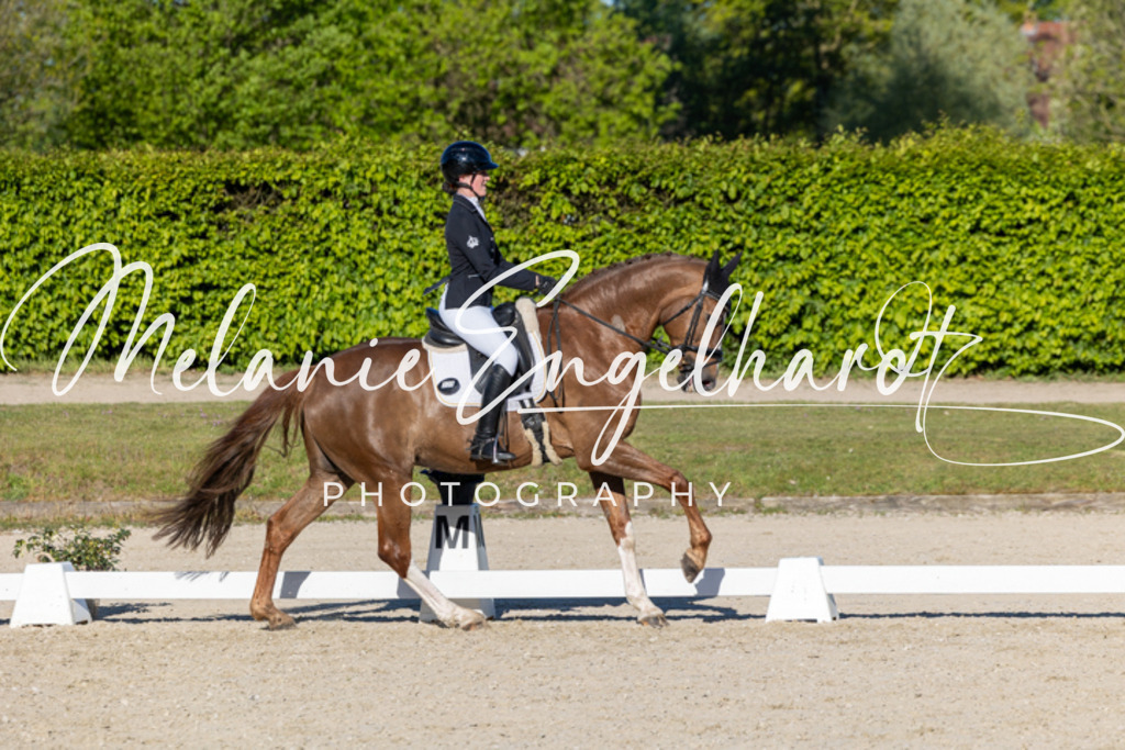 7I8A8569 | melanie-engelhardt-photography - Realisiert mit Pictrs.com