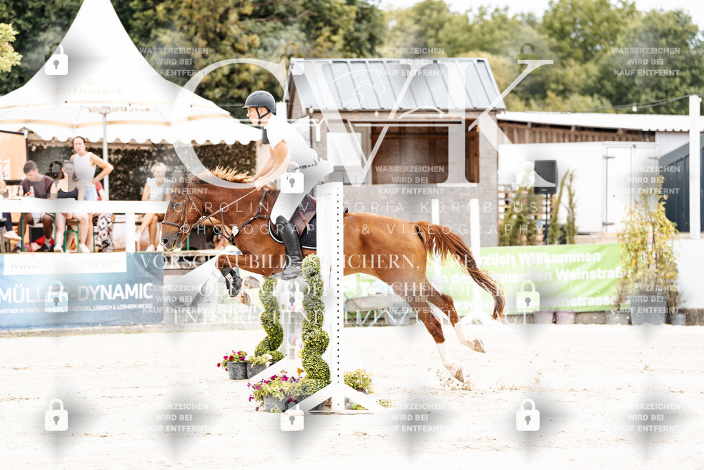 CK907760 | Turnierfotografie Pferdefotografie Trier Rheinland-Pfalz Pferdesport Reitsport Tierfotografie Sportfotografie Pferdevideo Pferdevideografie Equestrianvideography equestrianphotography  - Realisiert mit Pictrs.com