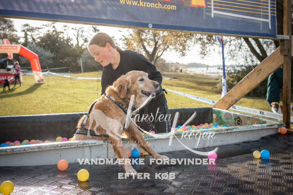 0956_ZZ99192 | kk-dogfotos