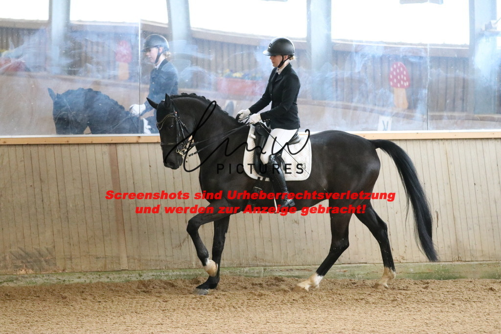 IMG_8734 | lmwpictures - Realisiert mit Pictrs.com