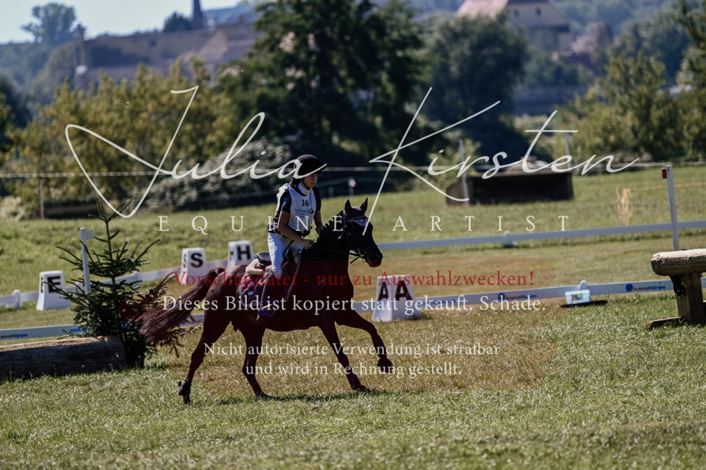 DSC_1933 | Pferde- und Turnierfotografie in Westsachsen. Pferdeportraits, Auftragszeichnungen und intuitive Kunst.