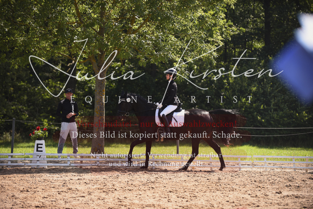 DSC_0655 | Pferde- und Turnierfotografie in Westsachsen. Pferdeportraits, Auftragszeichnungen und intuitive Kunst.