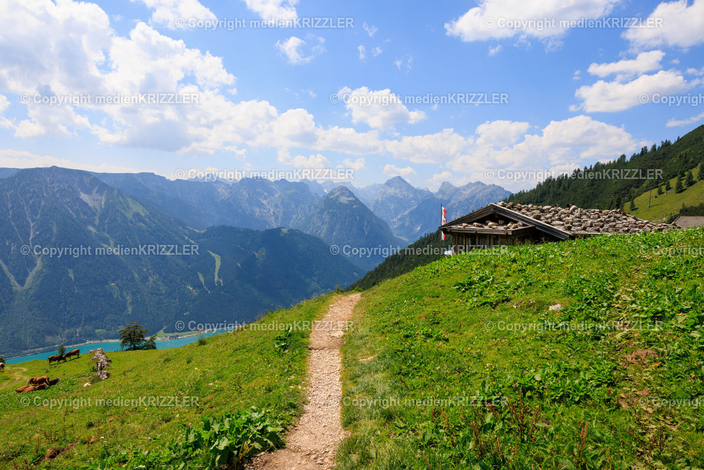 _J3A8271 | medienkrizzler - Realisiert mit Pictrs.com