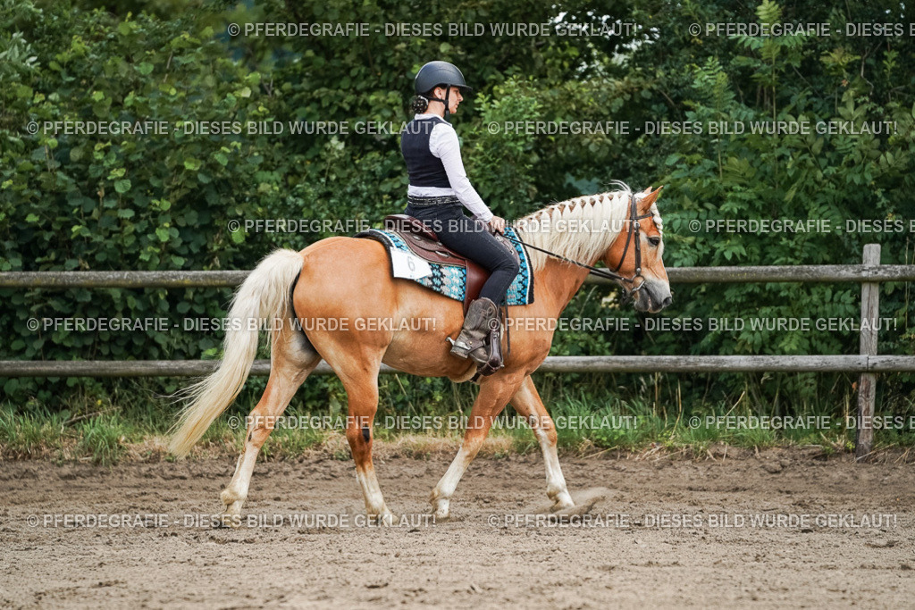 DSC03520 | Pferdegrafie