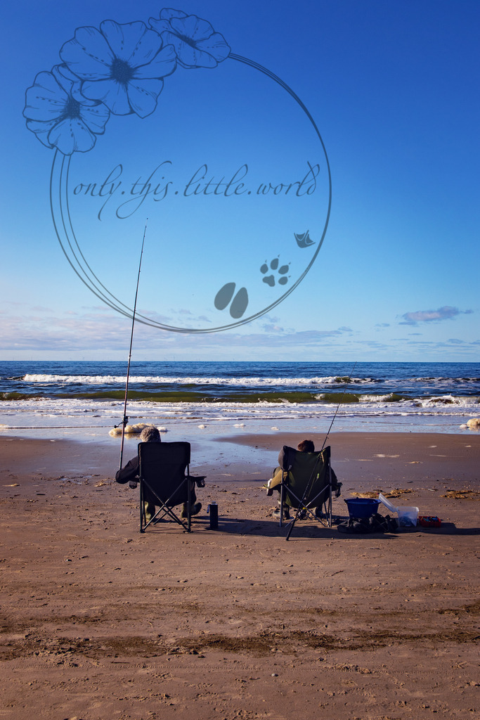 IMG_5237 | only.this.little.world - Realisiert mit Pictrs.com