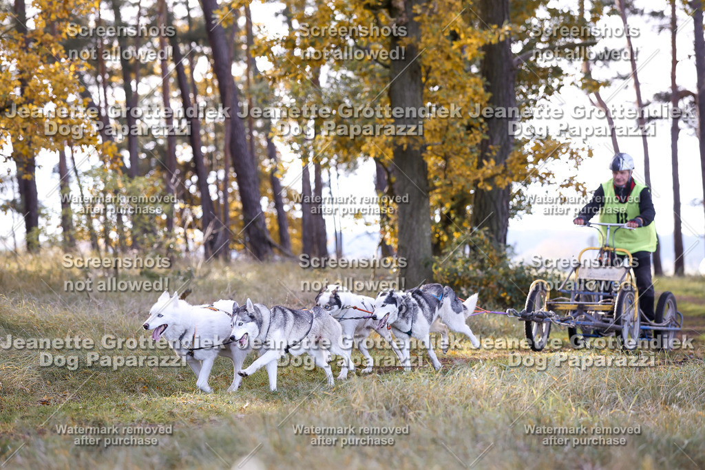 Dog Paparazzi - Elsholz 25 -95 | Dog Paparazzi Jeanette Grottendiek Fotografie & Videografie - Realisiert mit Pictrs.com