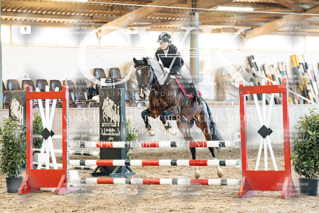 CK904531 | Turnierfotografie Pferdefotografie Trier Rheinland-Pfalz Pferdesport Reitsport Tierfotografie Sportfotografie Pferdevideo Pferdevideografie Equestrianvideography equestrianphotography  - Realisiert mit Pictrs.com