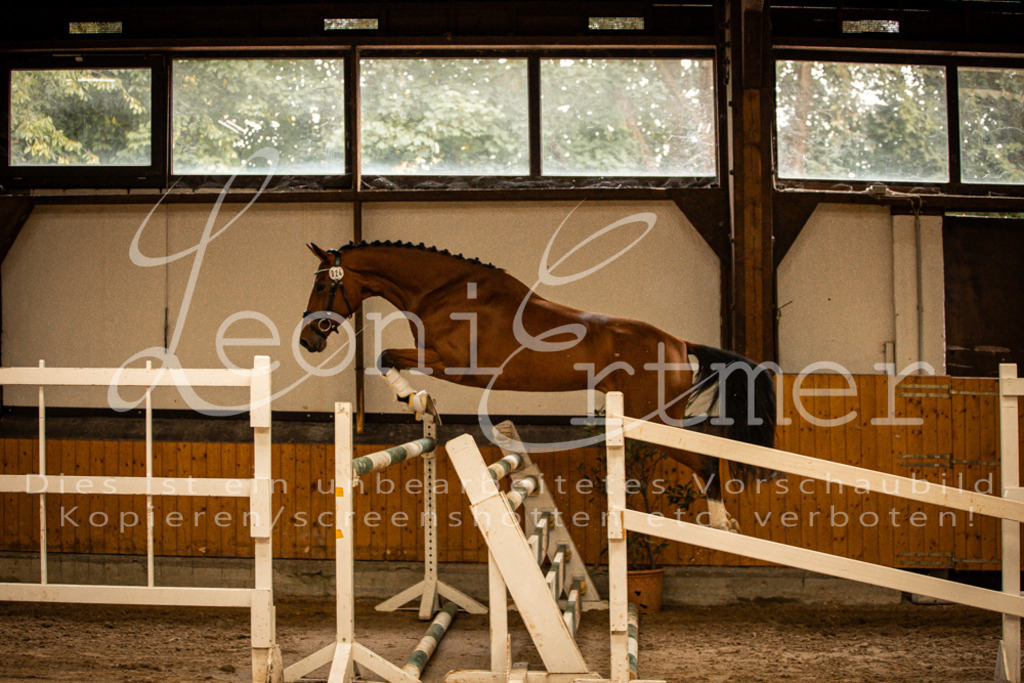 2FS_L00122 | Leoni Ertmer Photography - Realisiert mit Pictrs.com