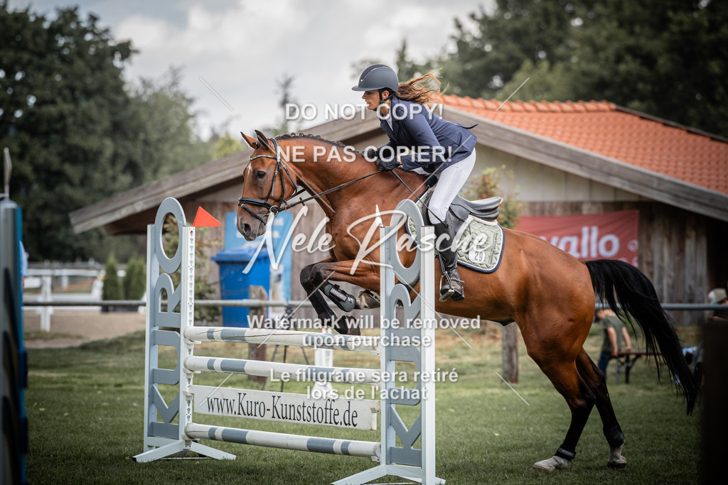 nelerasche_SprA__100Ede_15 | nelerasche