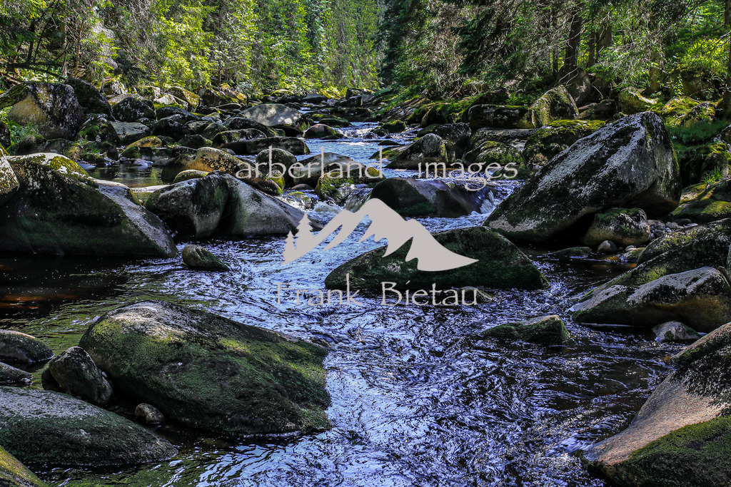 OE7A5662 | ein Wanderung durch das Tal der Vydra im Böhmerwald