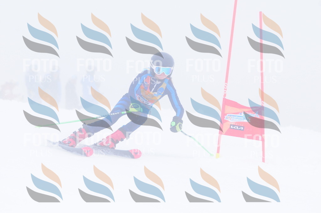 C3613 | holidayphoto