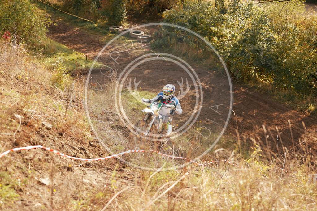 IgeLauf4-781 | koppe-media