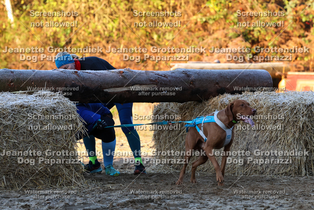 Dog Paparazzi - Strongdog 10-25-464 | Dog Paparazzi Jeanette Grottendiek Fotografie & Videografie - Realisiert mit Pictrs.com