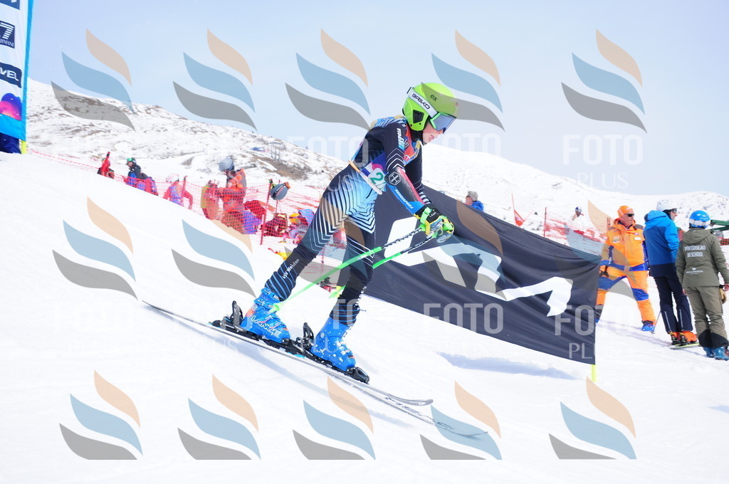 DSC_2657 | holidayphoto