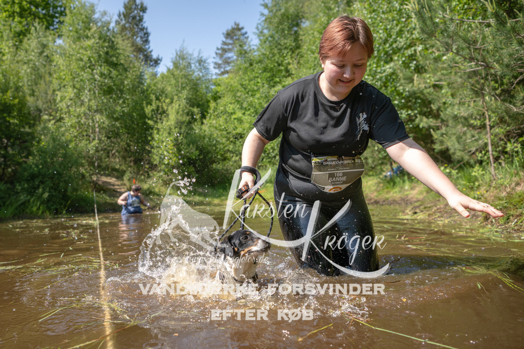 1527DKK993368 | kk-dogfotos