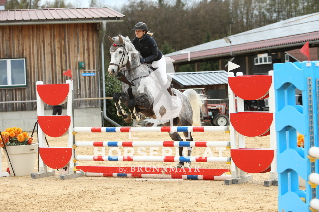 DL2Q2554 | Willkommen bei Brunnmayr - Design & Fotografie – Ihrem Spezialisten für Reitturniere und Pferdeveranstaltungen in Oberösterreich, Salzburg und Bayern! Seit über 17 Jahren sind wir leidenschaftlich dabei.