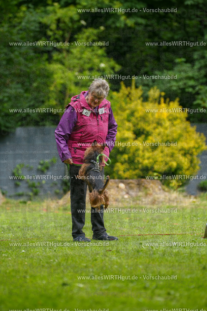 @allesWIRTHgut_Tierfotografie - www.allesWIRTHgut.de - 131023-7R509898 | Professionelle Tierfotografie in Mönchengladbach von Daniel Wirth (allesWIRTHgut). Liebevolle & natürliche Bilder von Hunden & Katzen für unvergessliche Erinnerungen.