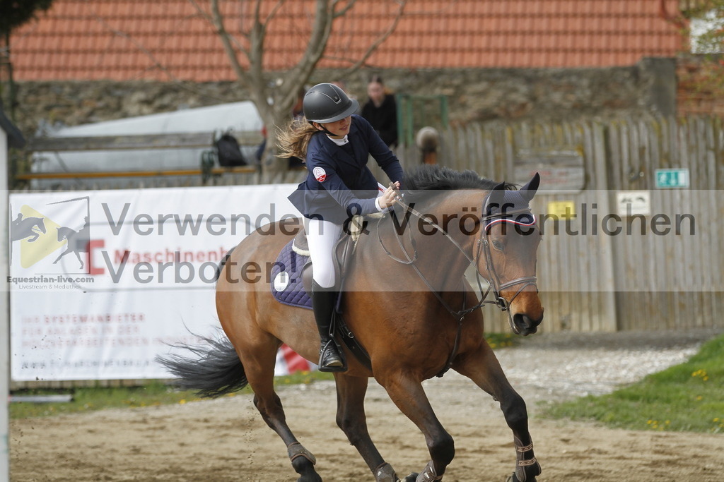 _MG_8378 | equestrian-live-com