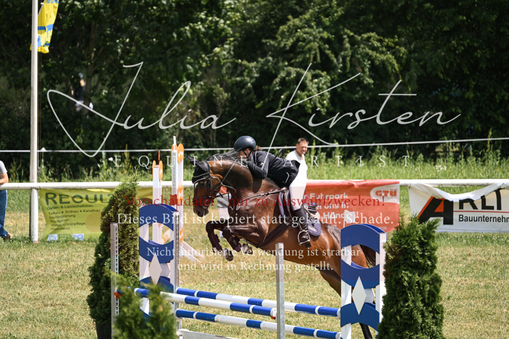 DSC_9826 | Pferde- und Turnierfotografie in Westsachsen. Pferdeportraits, Auftragszeichnungen und intuitive Kunst.
