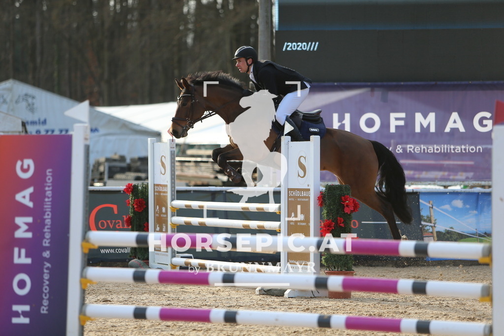 DL2Q8020 | Willkommen bei Brunnmayr - Design & Fotografie – Ihrem Spezialisten für Reitturniere und Pferdeveranstaltungen in Oberösterreich, Salzburg und Bayern! Seit über 17 Jahren sind wir leidenschaftlich dabei.