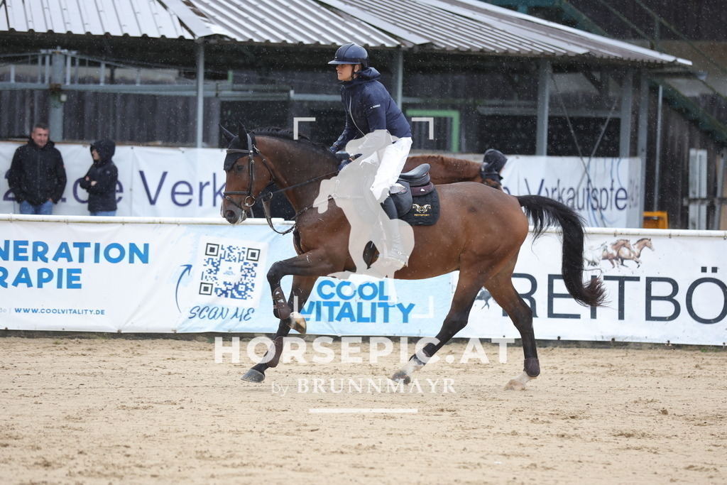 0P6A9847 | Willkommen bei Brunnmayr - Design & Fotografie – Ihrem Spezialisten für Reitturniere und Pferdeveranstaltungen in Oberösterreich, Salzburg und Bayern! Seit über 17 Jahren sind wir leidenschaftlich dabei.