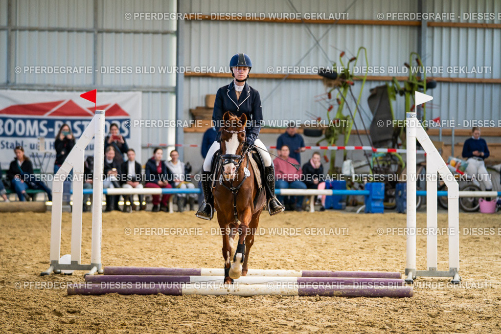 DSC02045 | Pferdegrafie