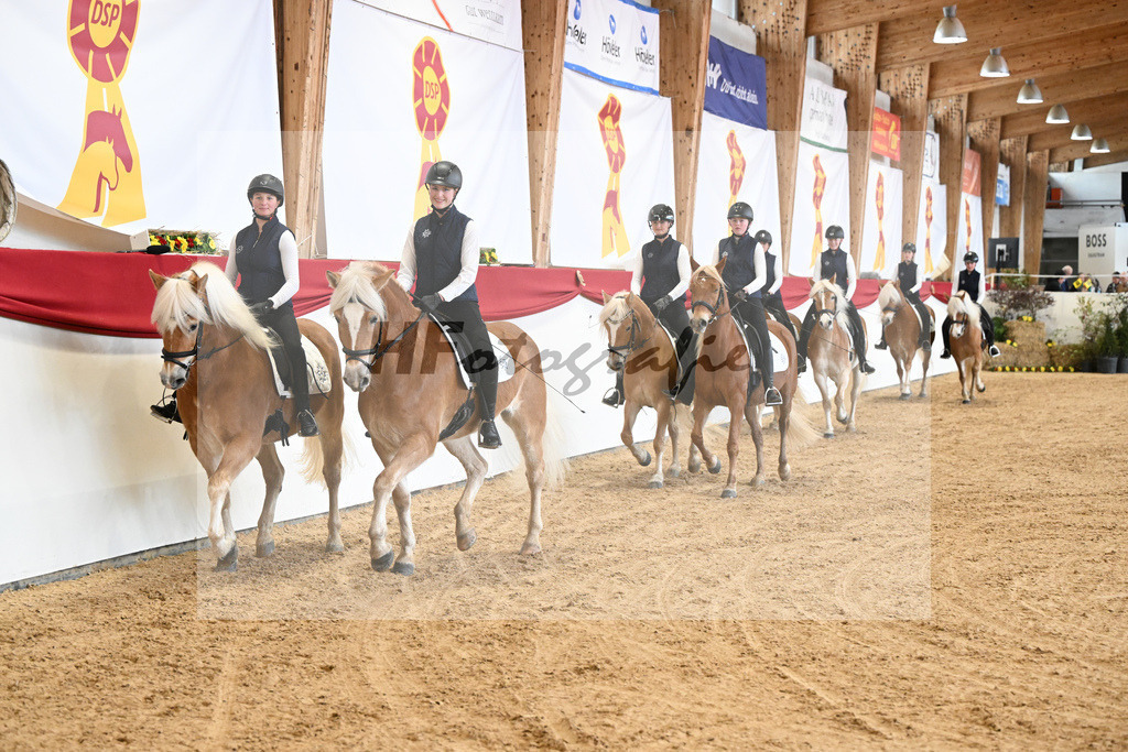 Schauprogramm Haflinger Quadrille_2251501 | hf-fotografie - Realisiert mit Pictrs.com