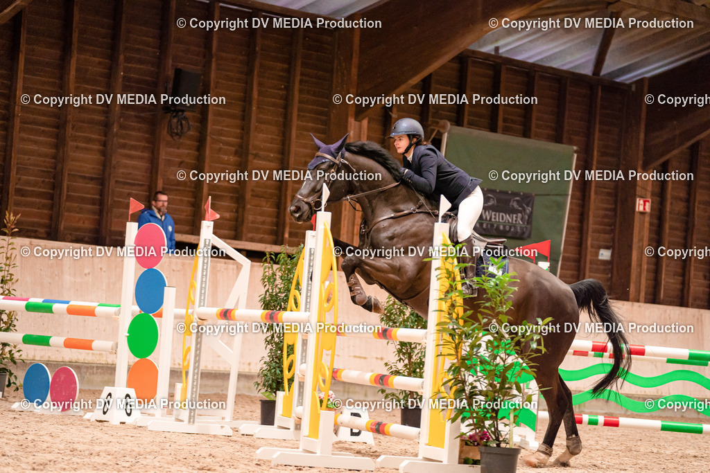 Springen Tag 3-082 | dv-media-shop - Realisiert mit Pictrs.com