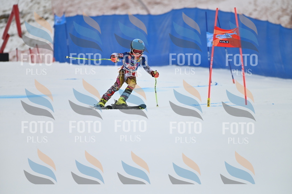 BGV_0458 | holidayphoto