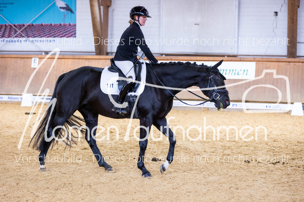 Sth-A-Dre-2St-152 | MomenTaufnahmen Pferdesportfotos