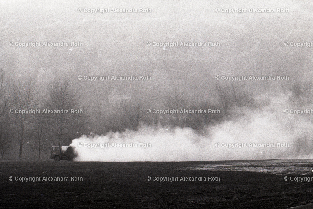 Aarau_0421 | onlineshop - Realisiert mit Pictrs.com