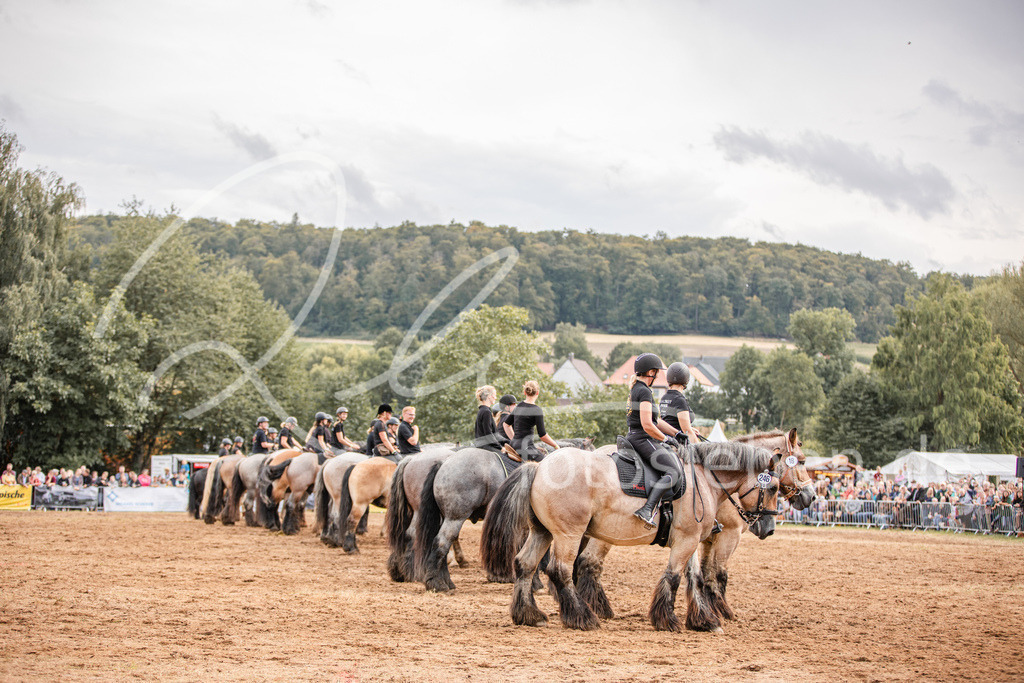 846A4080 | fotosleben - Realisiert mit Pictrs.com