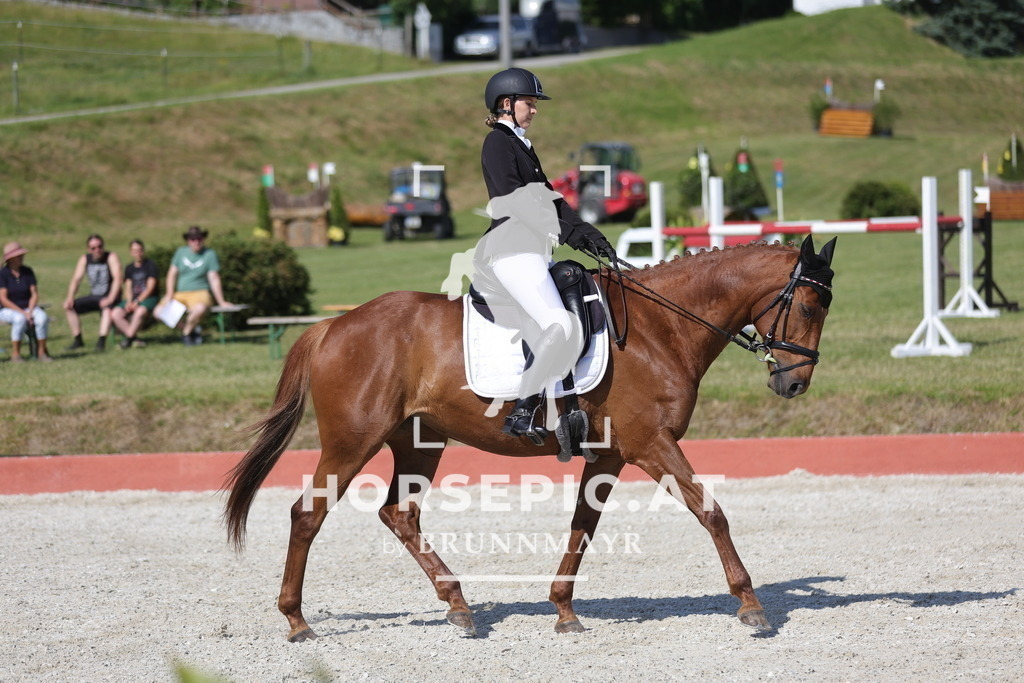 0P6A8133 | Willkommen bei Brunnmayr - Design & Fotografie – Ihrem Spezialisten für Reitturniere und Pferdeveranstaltungen in Oberösterreich, Salzburg und Bayern! Seit über 17 Jahren sind wir leidenschaftlich dabei.