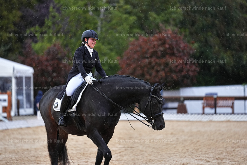 8_2-183-DRESSUR S_  -Marixx-4649 | working equitationturnier fotograf videograf stoibphotography marixx film working equitation deutschland reitsport turnierfotografie eventfotografie equestrian events