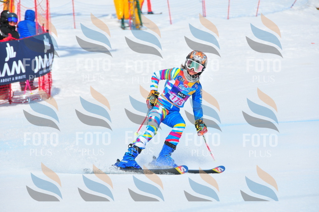 DSC_5309 | holidayphoto