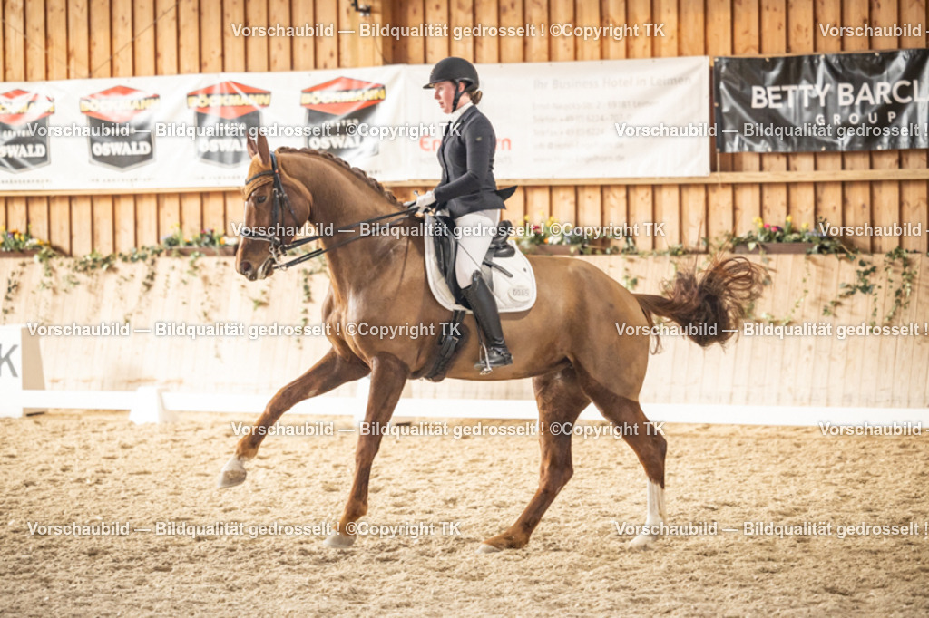 _D5A9423 | Emotionale Pferde- & People-Fotografie rund um Heidelberg, Leimen & Umgebung. Natürliche Fotos von Pferd, Mensch & Familie. Jetzt Termin sichern!