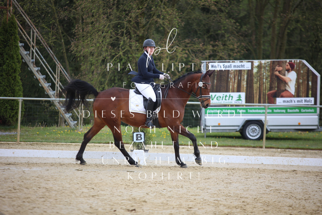 IMGT5284 | pl-fotografie