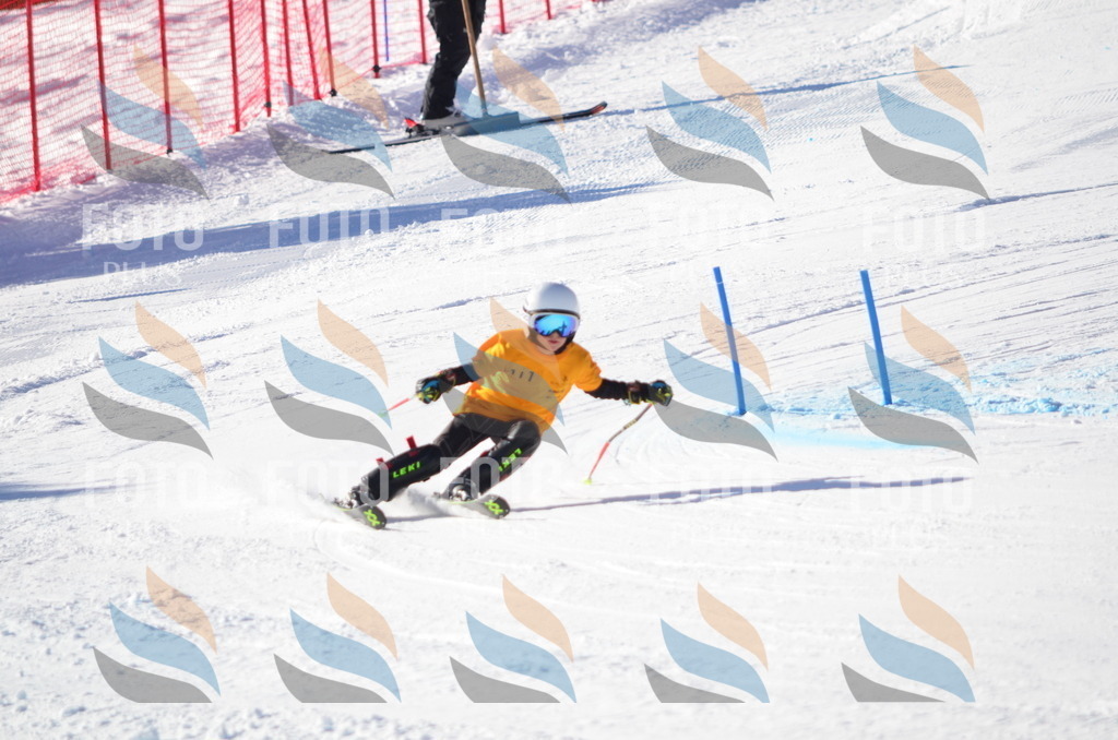 C6278 | holidayphoto