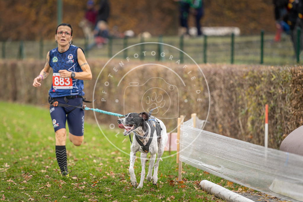 CaniXpix_DV3A6839 | Hundefotografie, Tierfotograf, Pfotenfotografie, Fotoshooting Hund, Hunde Portrait, Hundesport, Hundeportraits, Heideshooting, Hunde, Sportfotograf, Hundefotograf, Turnierhundsport, THS,  - Realisiert mit Pictrs.com