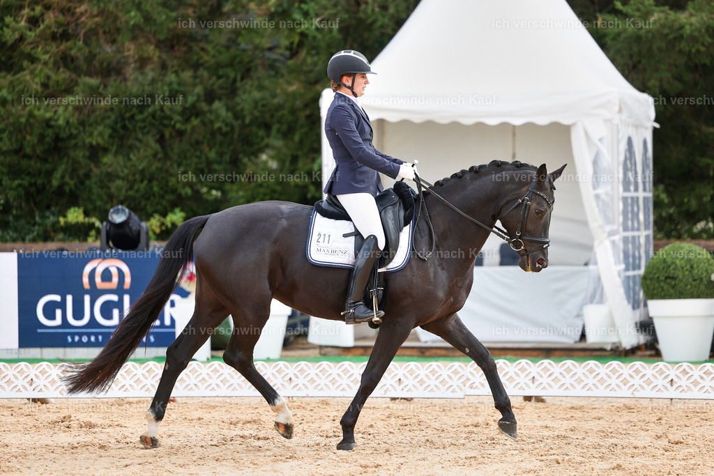 02-211-DRESSUR L_  -StoibPH-4806 | working equitationturnier fotograf videograf stoibphotography marixx film working equitation deutschland reitsport turnierfotografie eventfotografie equestrian events