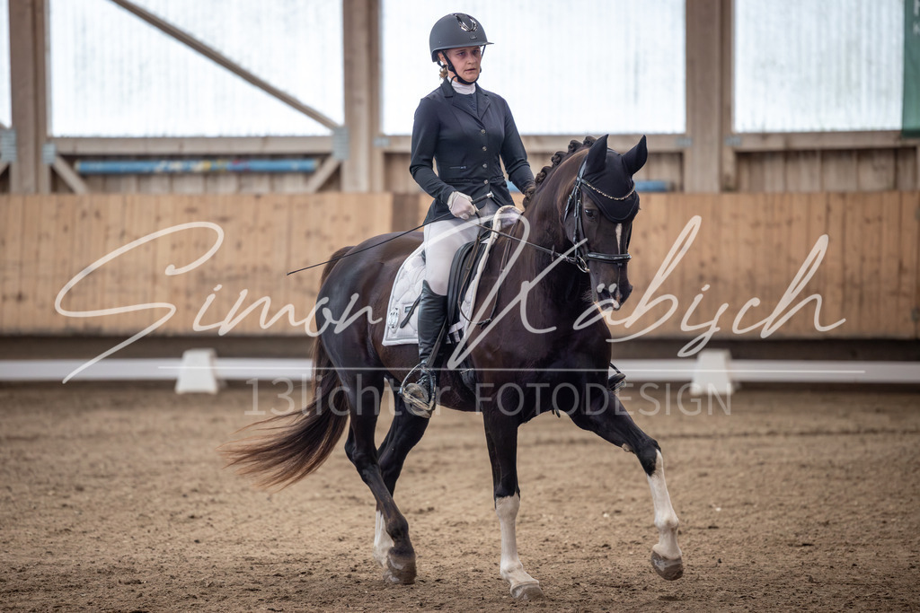 20251011-_3LI9330 | Tierfotografie Pferde, Hunde, Katzen, Haustiere.
Turnierfotografie Reitturniere, Reiten, Springreiten, Dressur in Hanau, dem Main-Kinzig-Kreis und dem Rhein-Main- Gebiet um Frankfurt