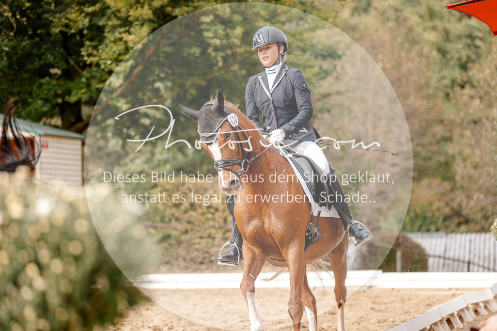 3I6A4426 | Stimmungsvolle Portraits und Reitsportfotografie im Ruhrgebiet und im Münsterland.

Pferdefotografie, Hundefotografie, Tierfotografie, Reportagen, Portraits von Tier und Mensch, Turnierfotografie in Bochum, Recklinghausen, Marl, Haltern am See, Dülmen.. - Realisiert mit Pictrs.com