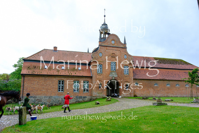 Jagd Kletkamp 26-9640_MarinaHewig | Fotografie, FotoArt, PferdesportArt, Pferdesportfotografie, Landschaftsfotografie, Reisefotografie, Reise, Pferde - Realisiert mit Pictrs.com