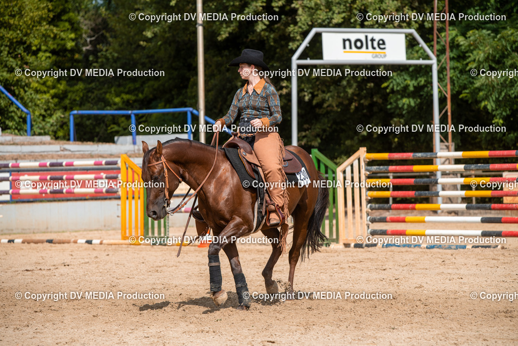 EWP_5990 | dv-media-shop - Realisiert mit Pictrs.com